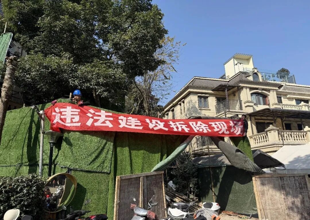 小区业主私搭乱建,物业可以强制拆除吗?